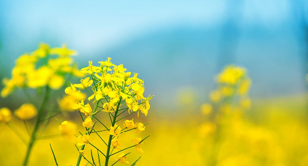 币安网币做合约挣钱靠谱吗 币安实名认证常见问题